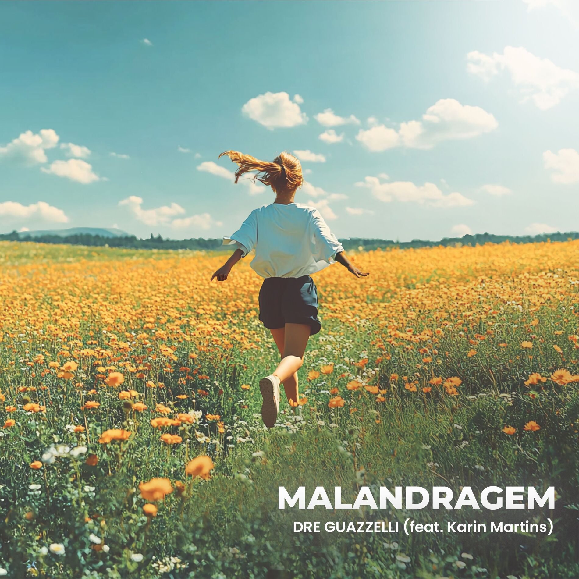 Album cover of Malandragem