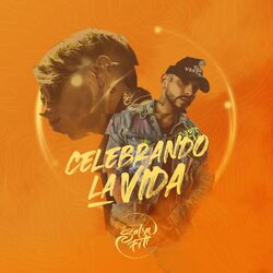 Cover of Celebrando la Vida