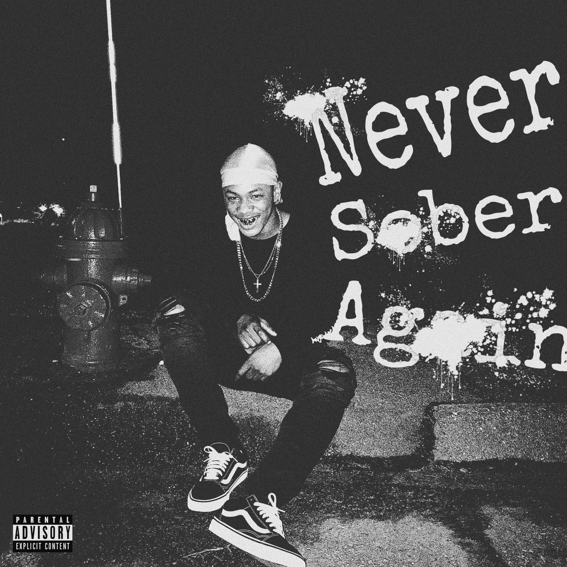 Album cover of Never sober again