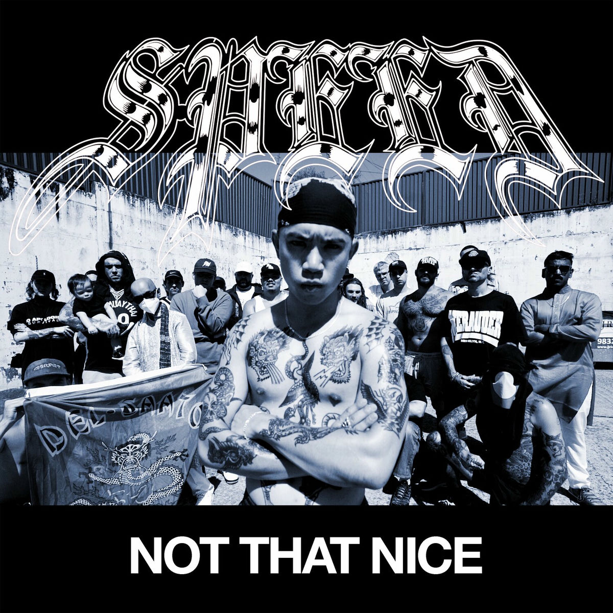 Album cover of Not That Nice