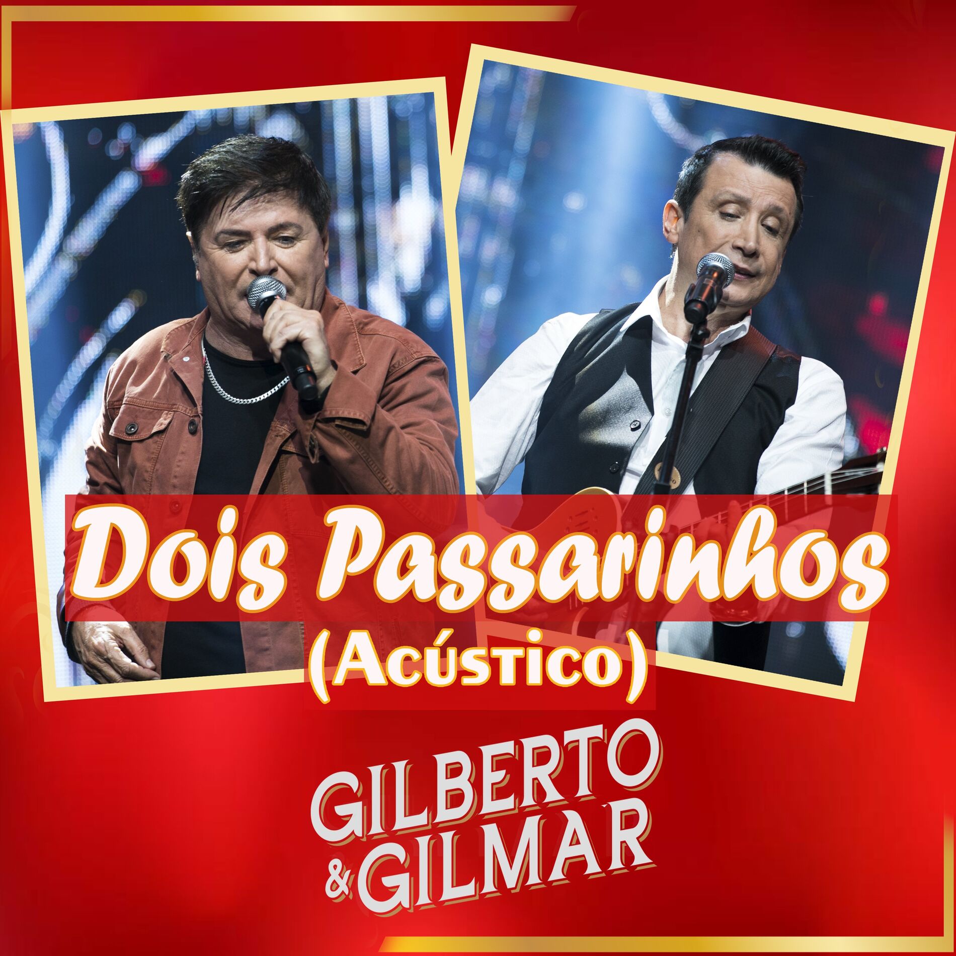 Album cover of Dois Passarinhos (Acústico)
