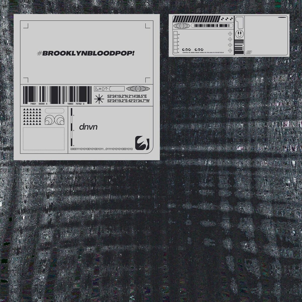 Album cover of #BrooklynBloodPop!