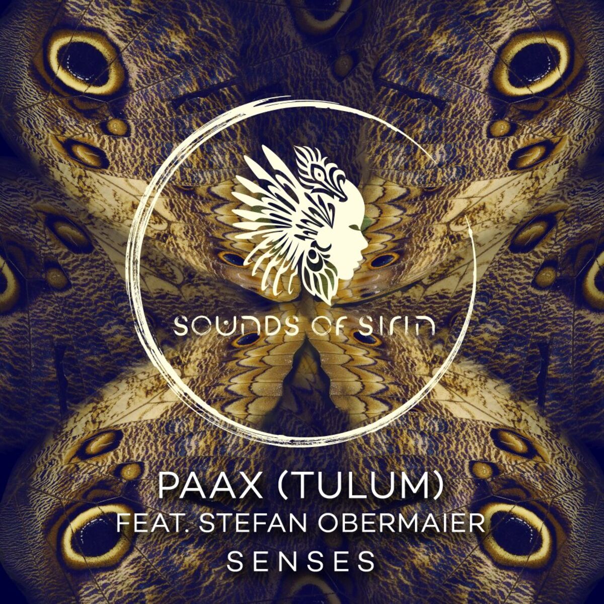 Album cover of Senses