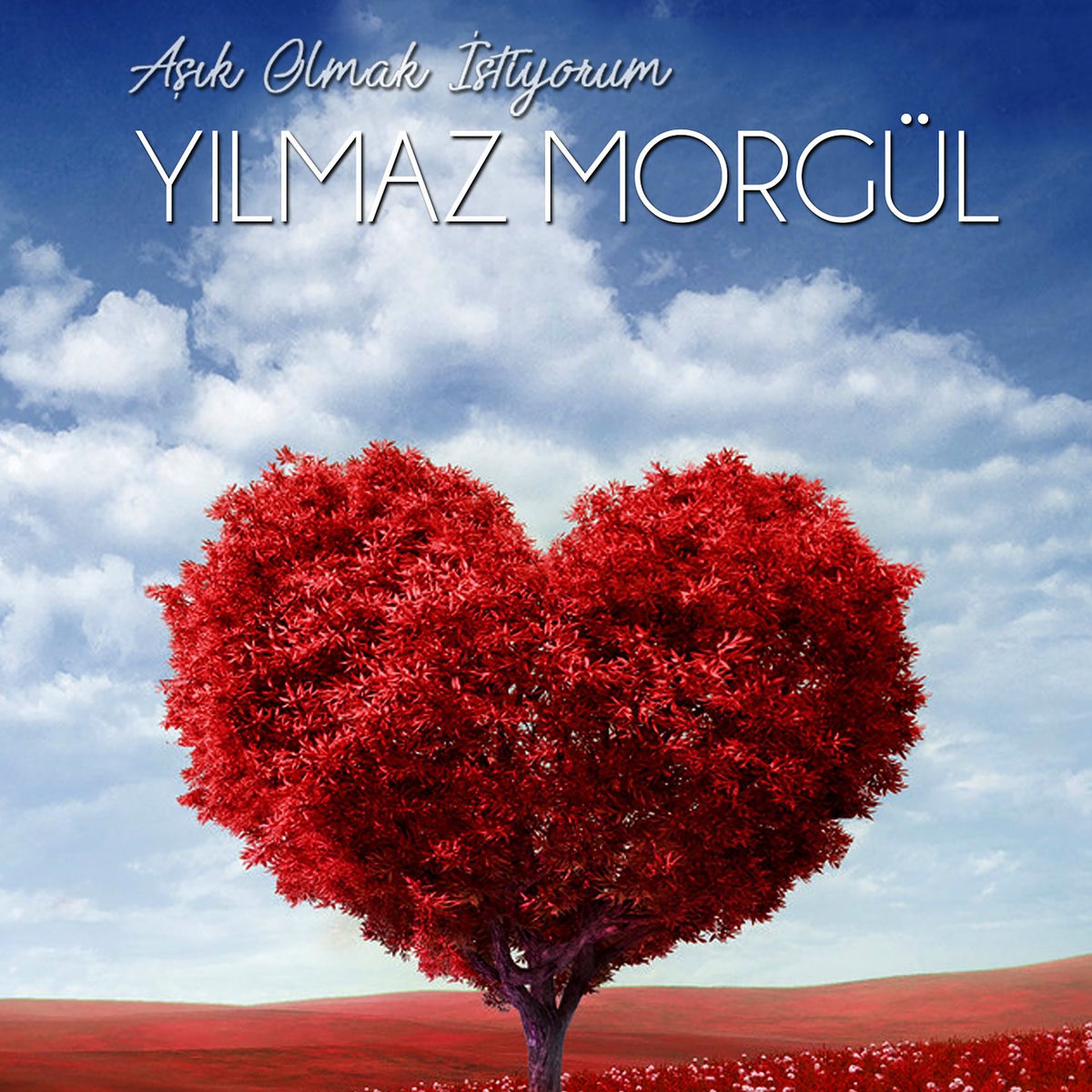 Album cover of Aşık Olmak İstiyorum 