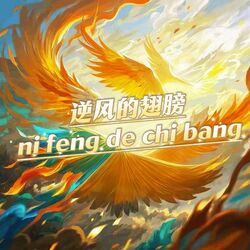 Cover of 逆风的翅膀