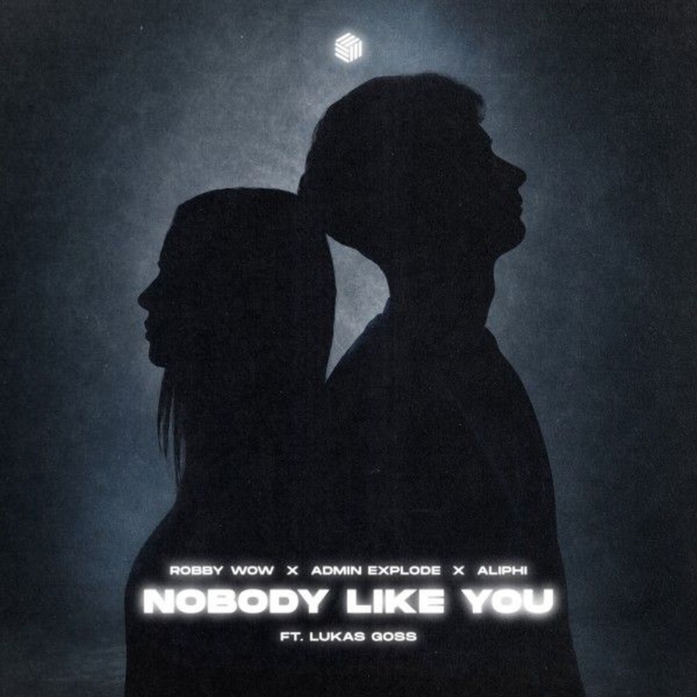 Nobody Like You