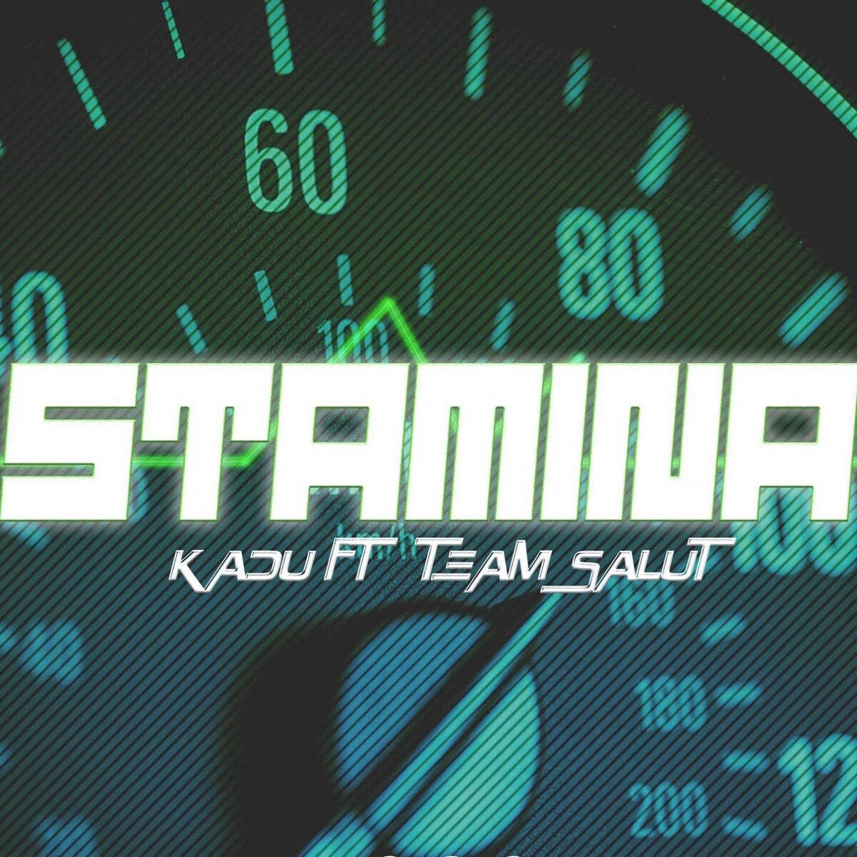Album cover of Stamina