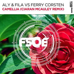Cover of Camellia