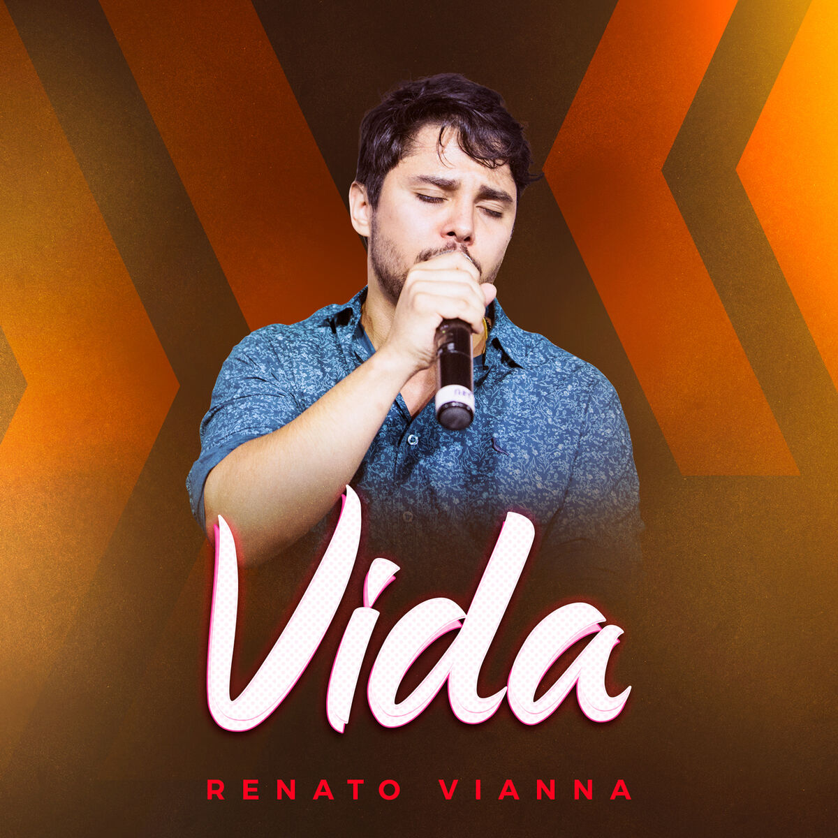 Album cover of Vida
