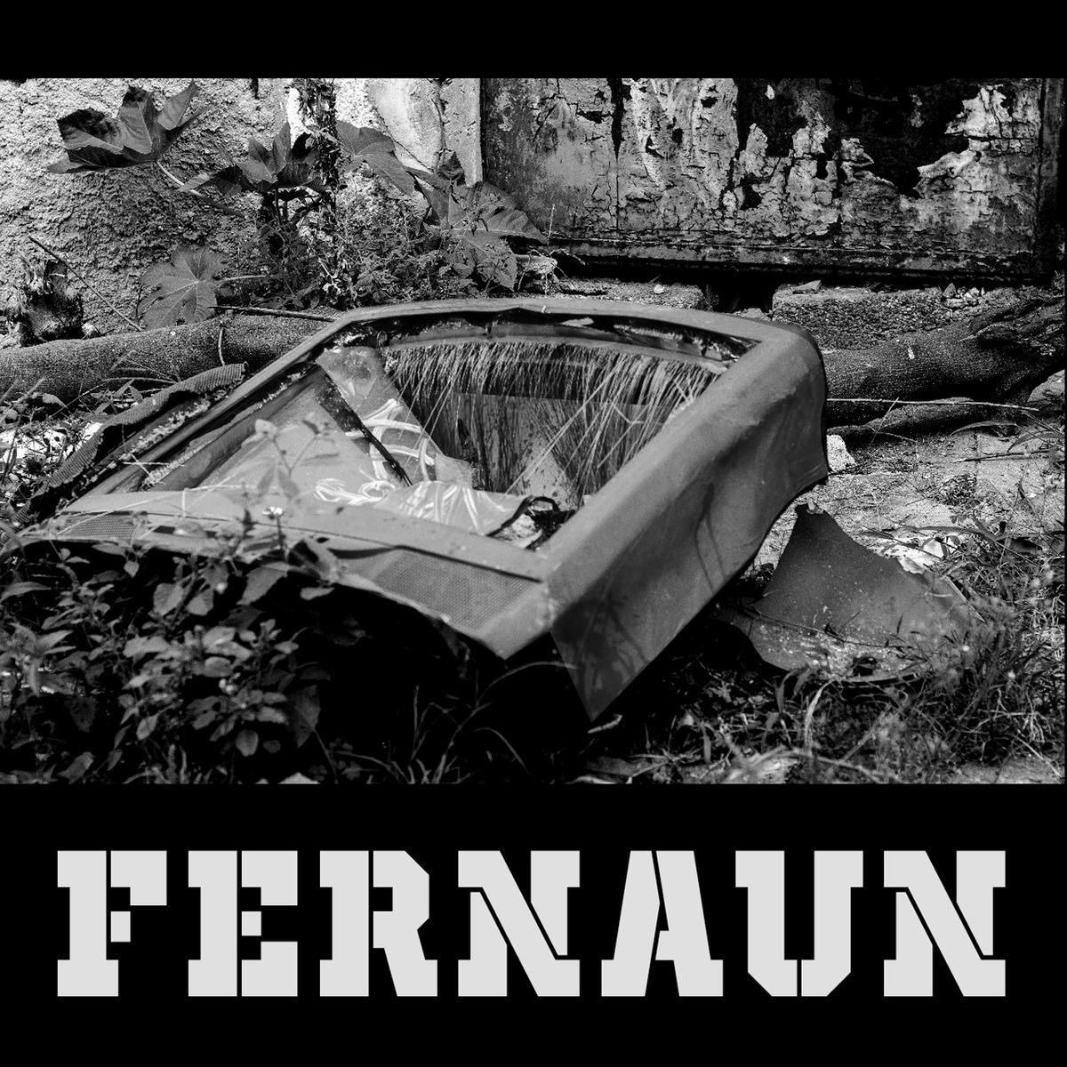 Album cover of Fernaun
