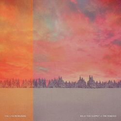 Cover of Kills You Slowly (Remixes)