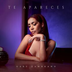 Cover of Te Apareces