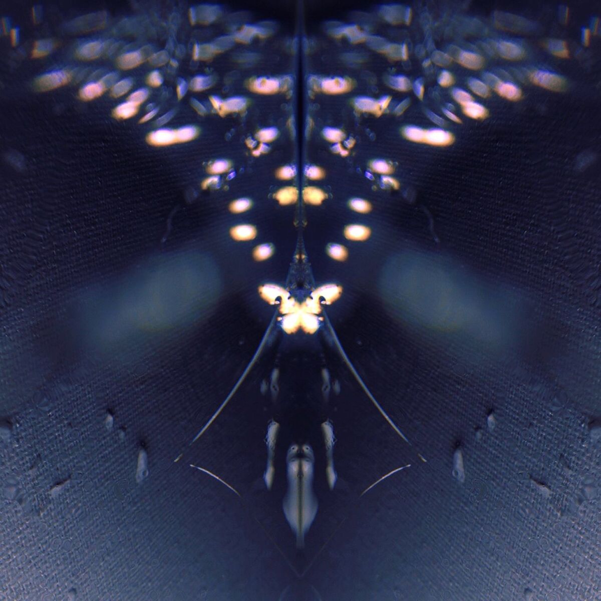 Album cover of Meanderings