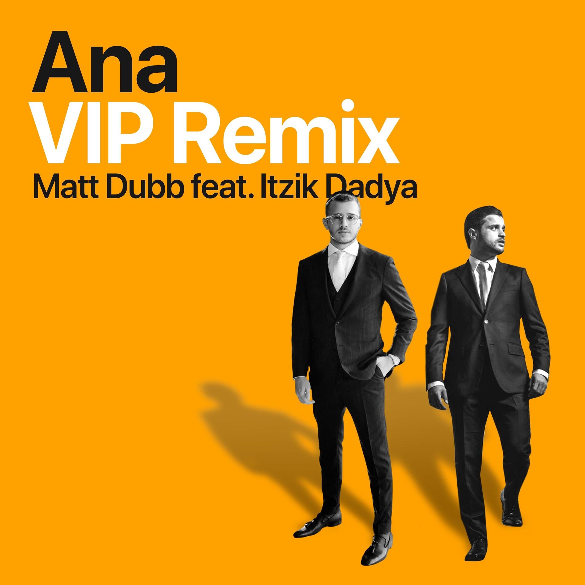 Album cover of Ana (VIP Remix)