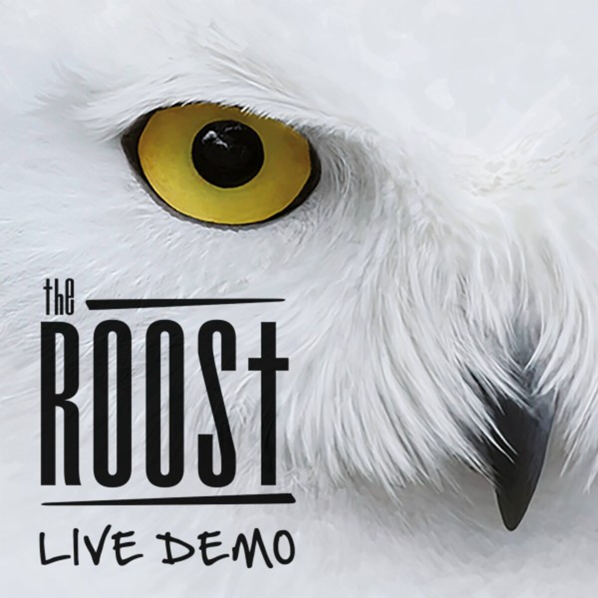 Album cover of Live Demo