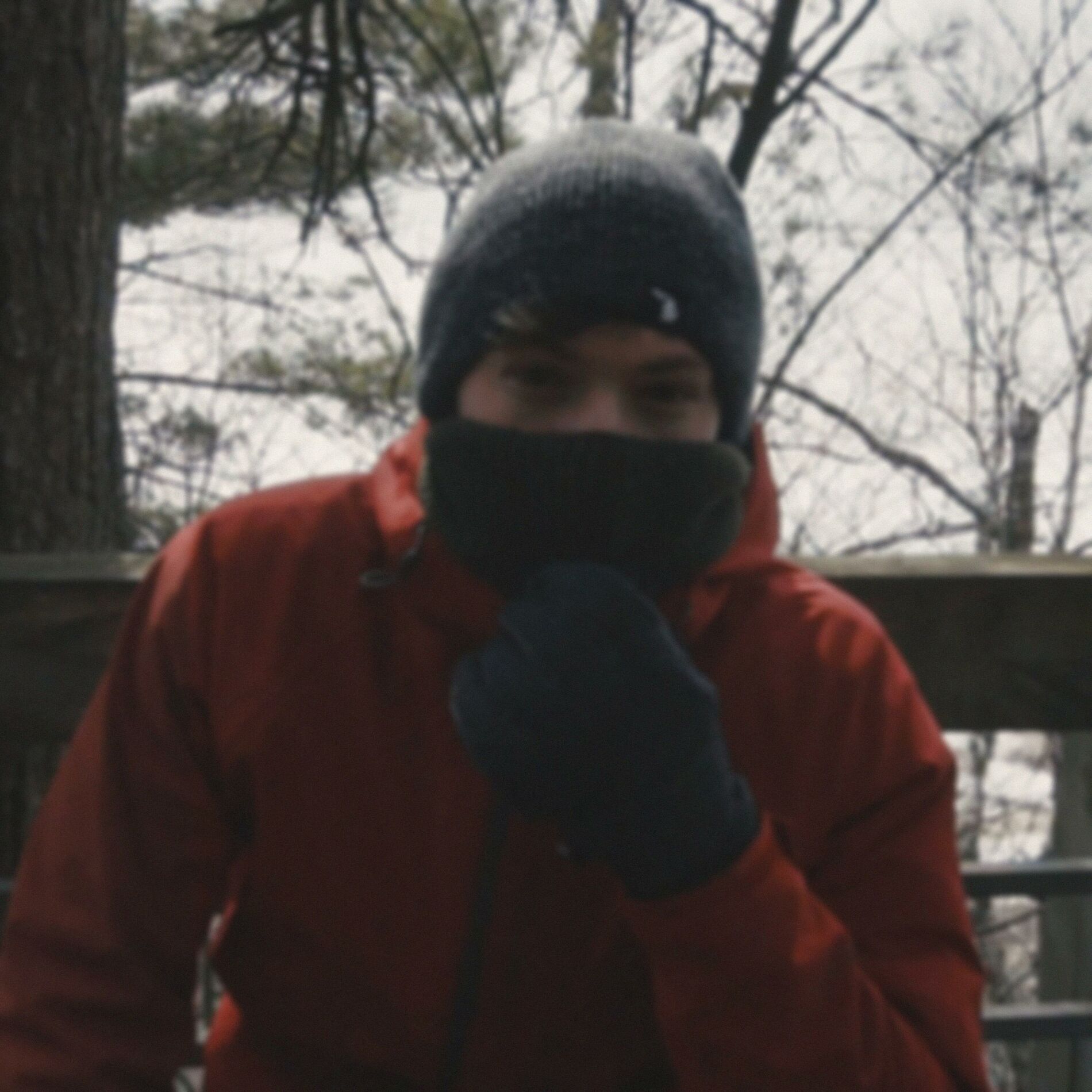 Album cover of Nothing To Do But Dream (Winter)