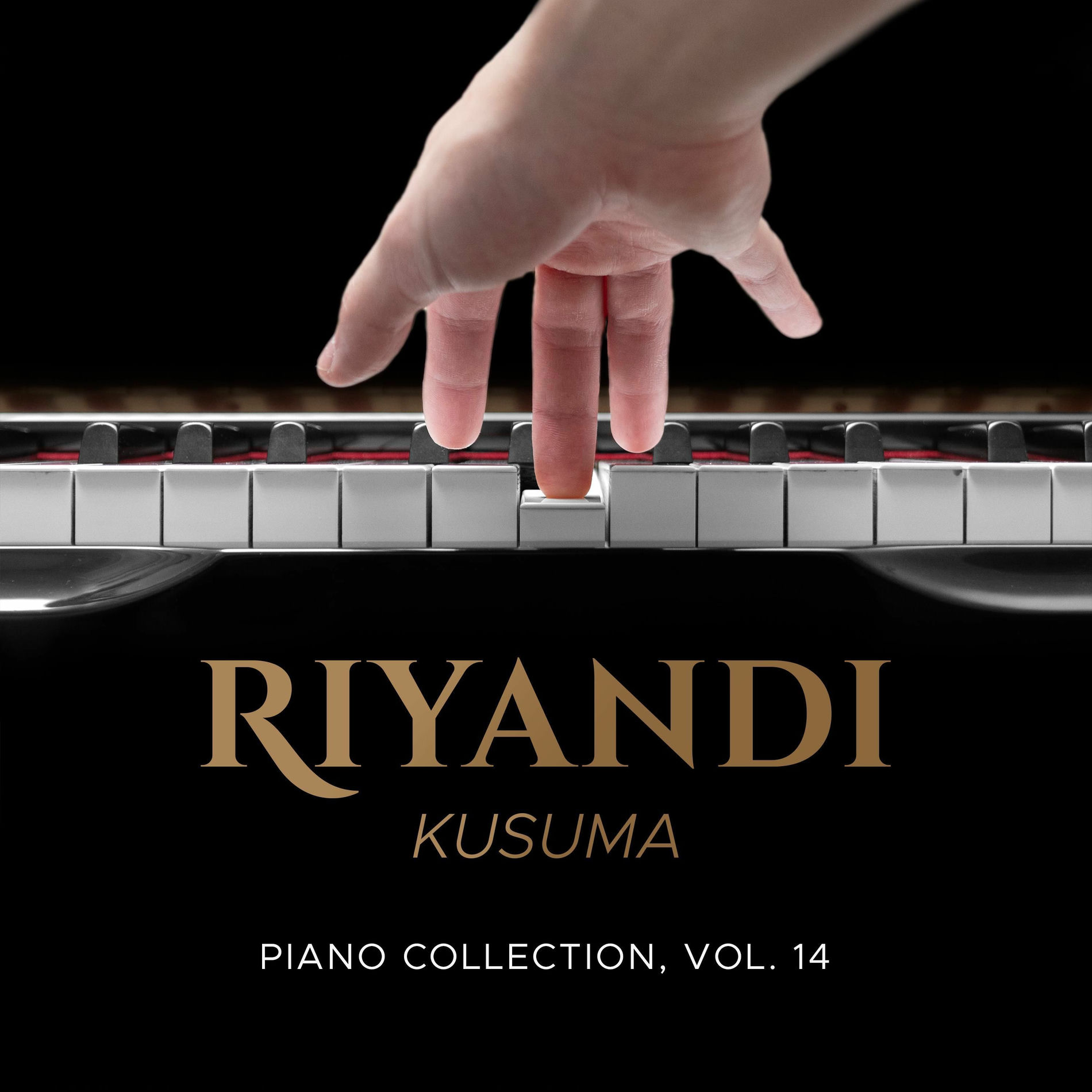 Album cover of Piano Collection, Vol. 14