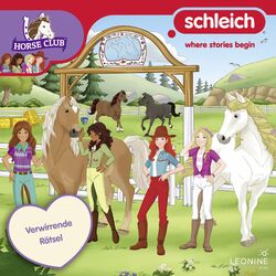 Cover of Folge 26: Verwirrende Rätsel