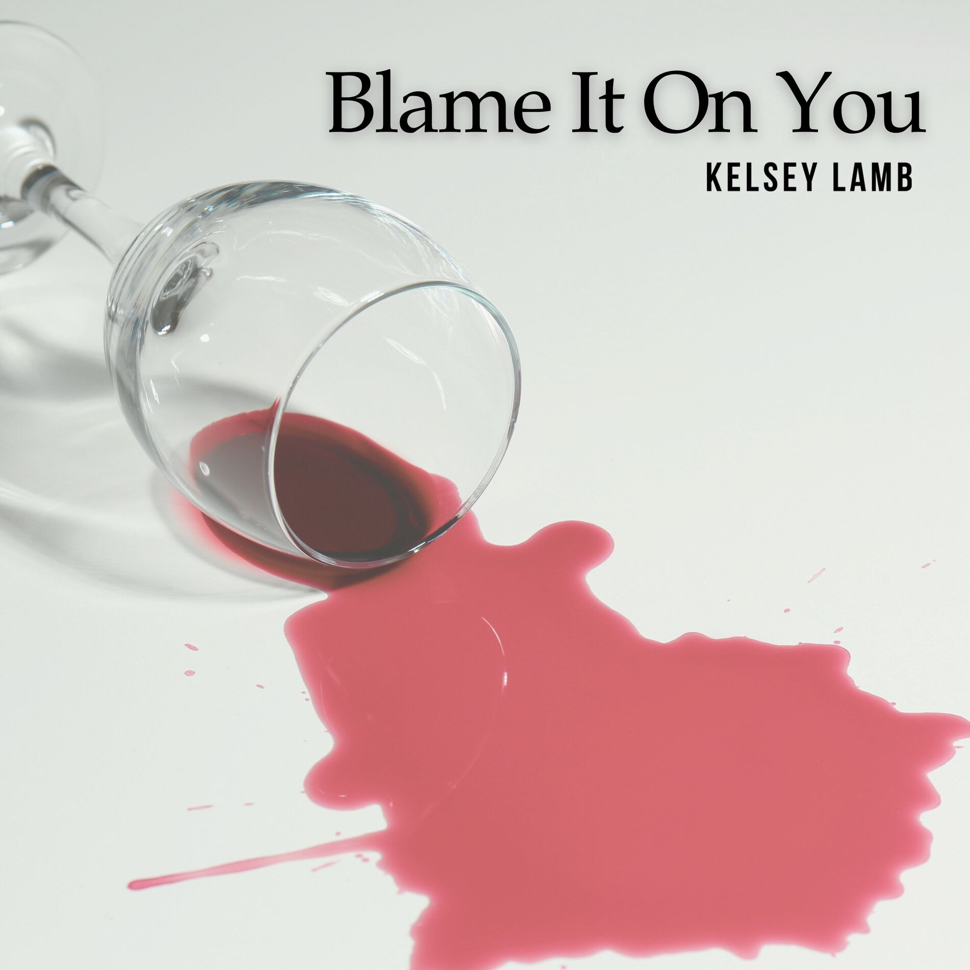 Album cover of Blame It on You