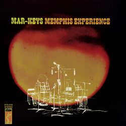 Cover of Memphis Experience
