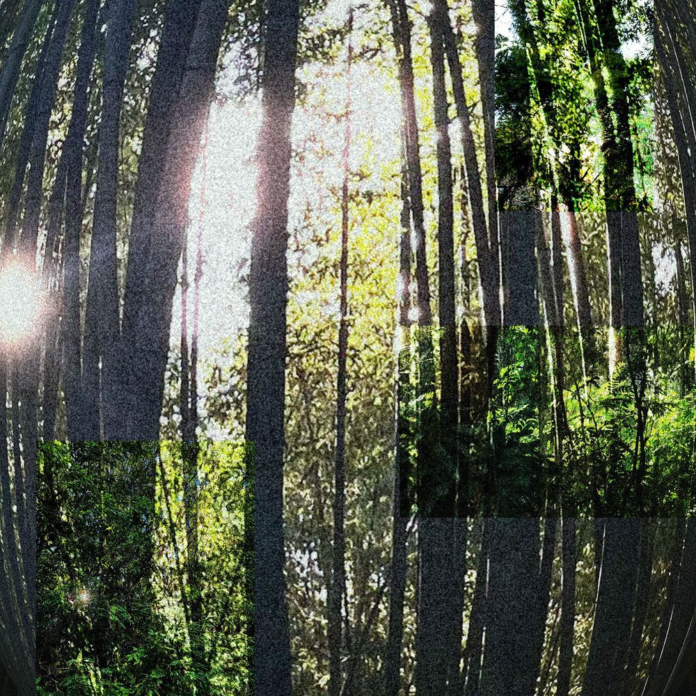 Album artwork for FOREST by Pearl