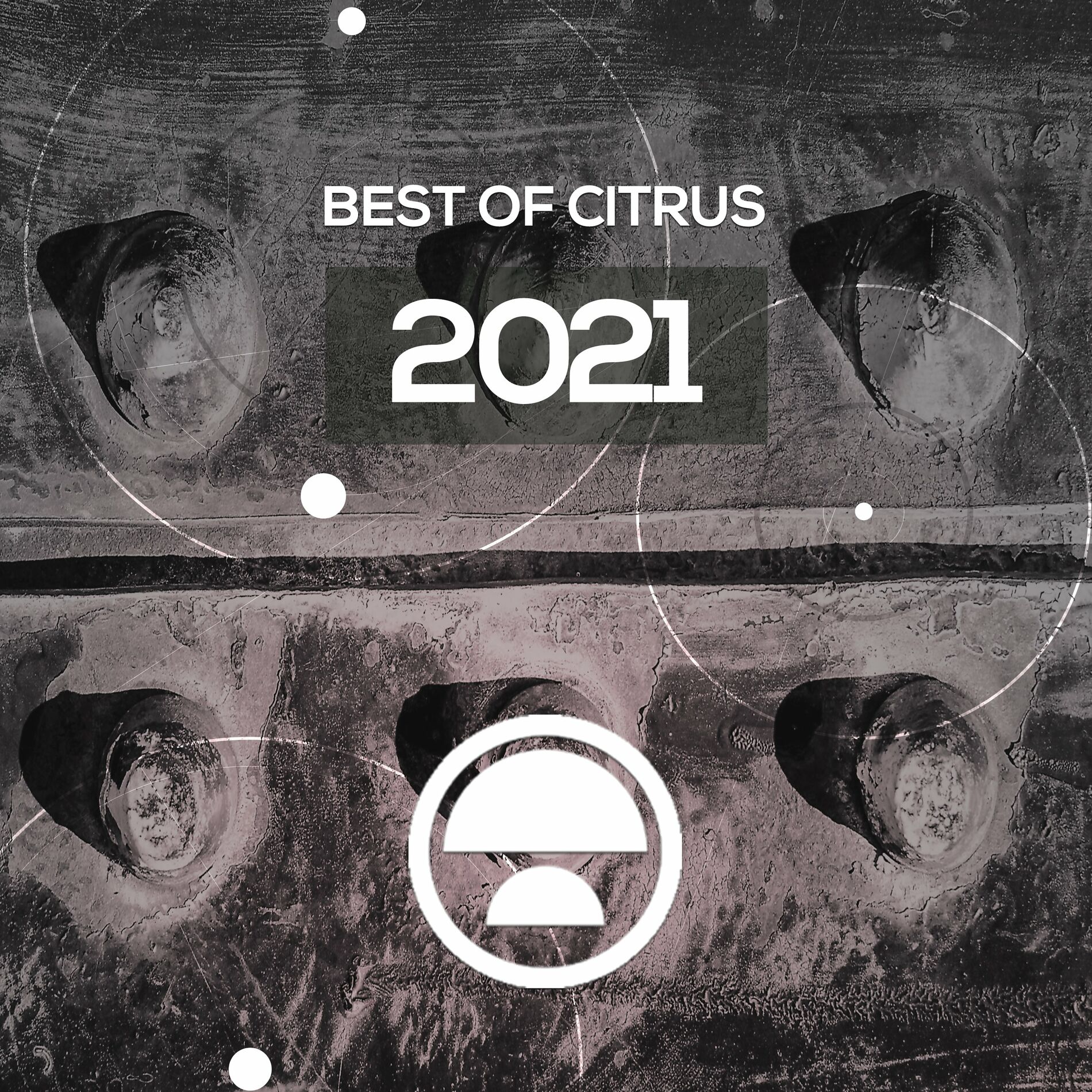 Album cover of CITRUS RECAP 2021