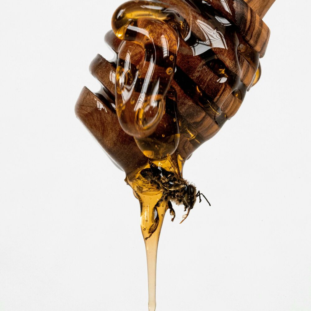 Picture of Bitter Bee