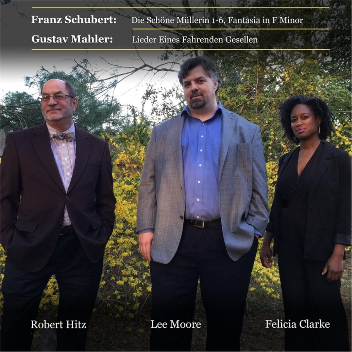 Album cover of Franz Schubert: Die Schöne Müllerin 1-6, Fantasia in F Minor - Gustav Mahler: Lieder eines fahrenden Gesellen