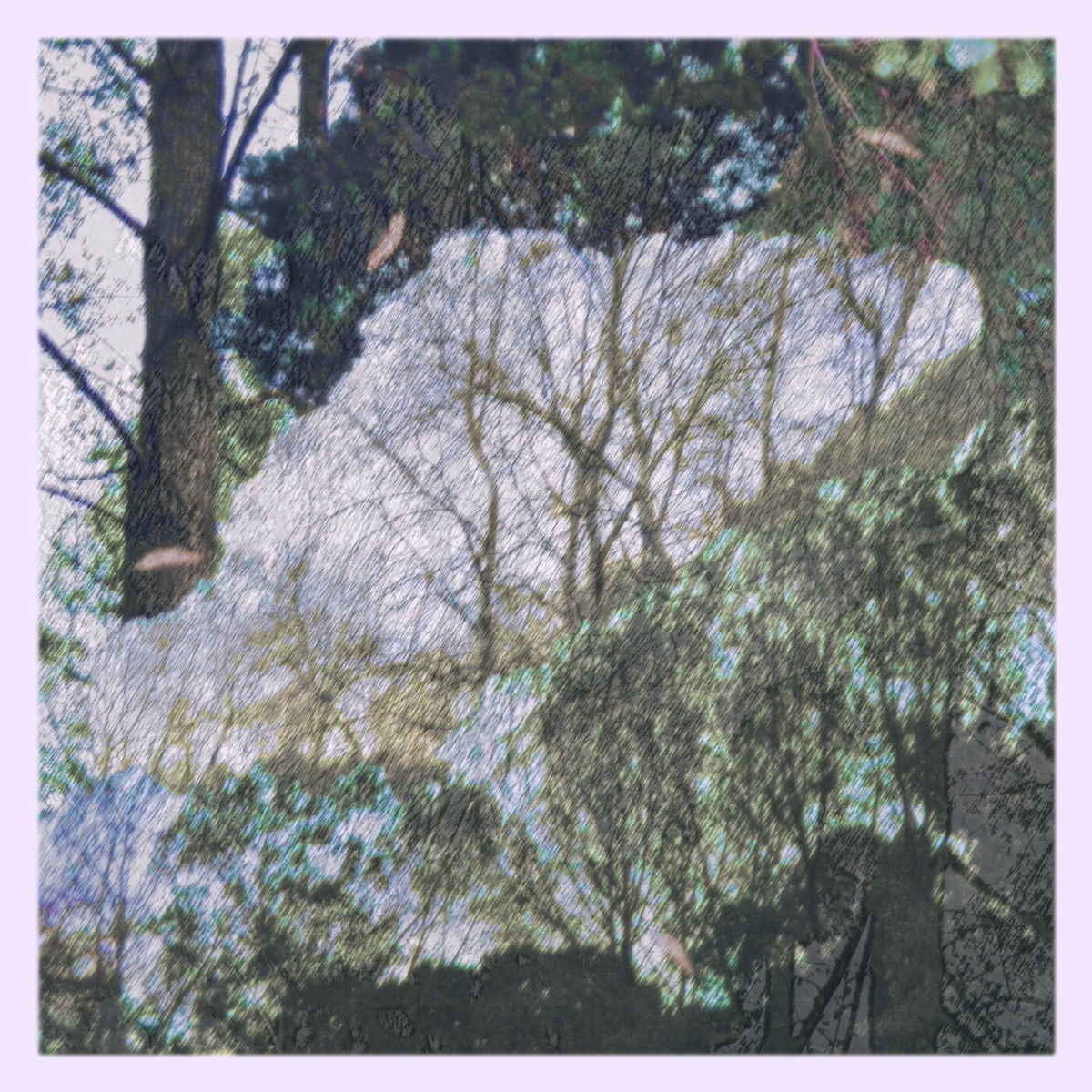Album cover of Zephyr