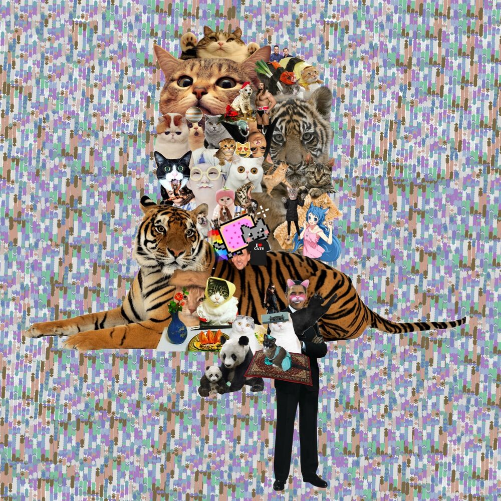 Picture of Some Loops