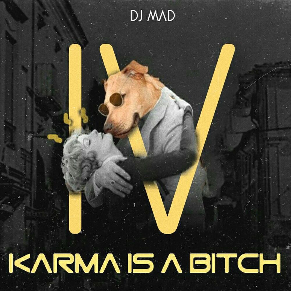 Picture of Karma Is a Bitch 4