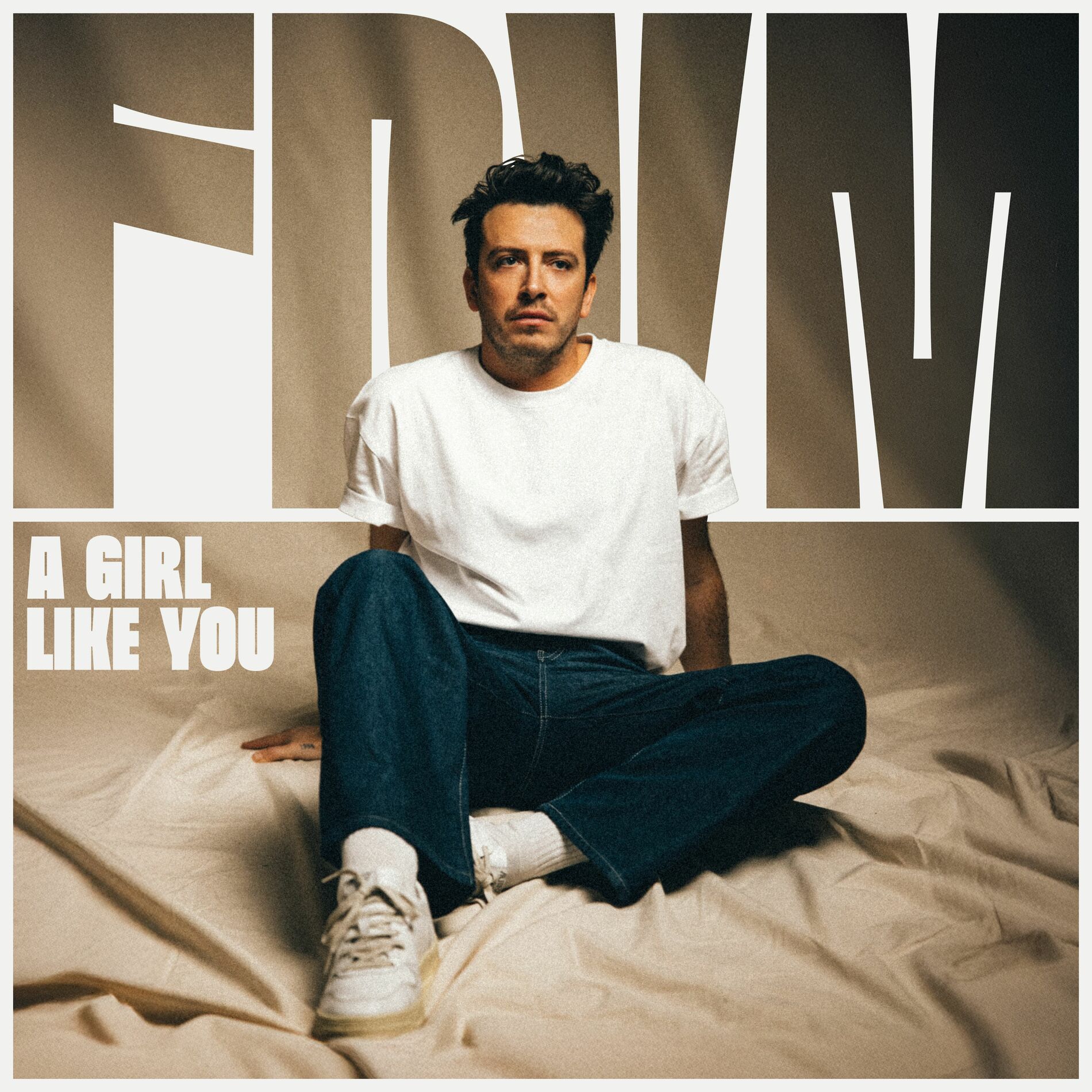 Album cover of A Girl Like You
