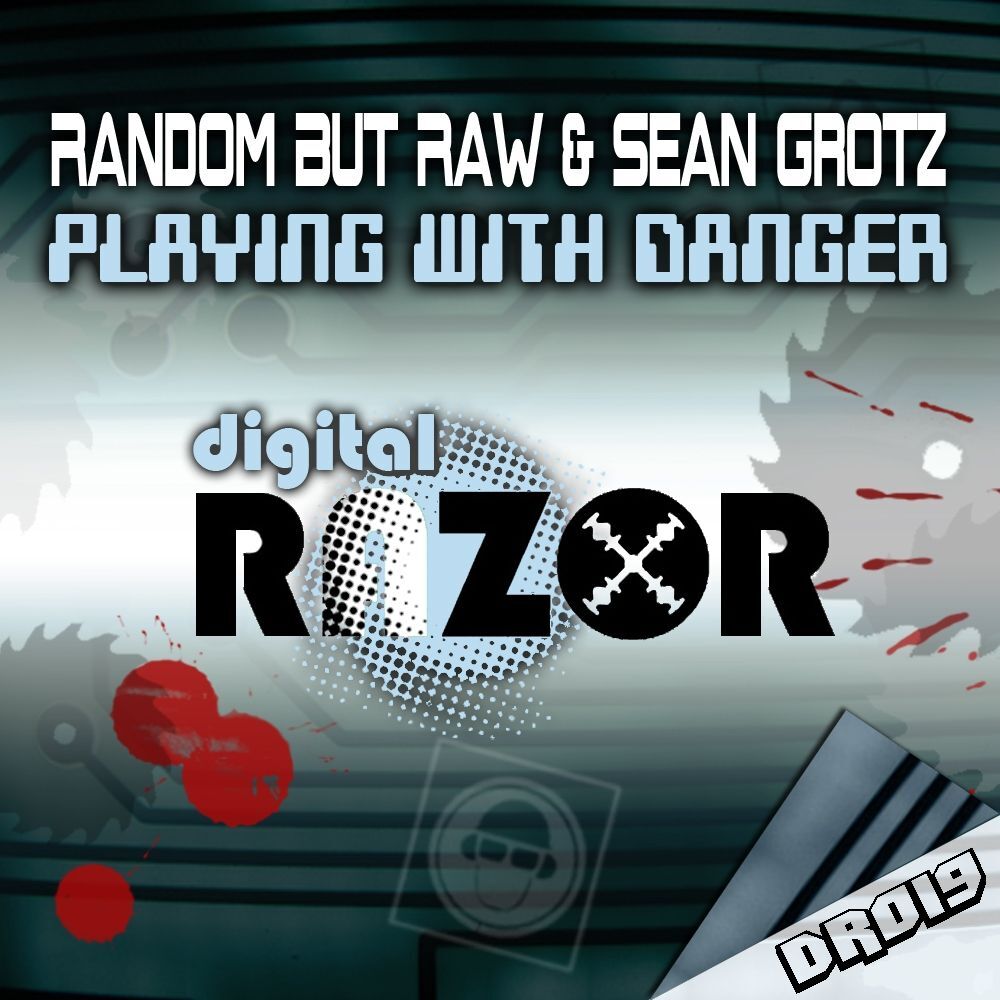 Picture of Playing With Danger