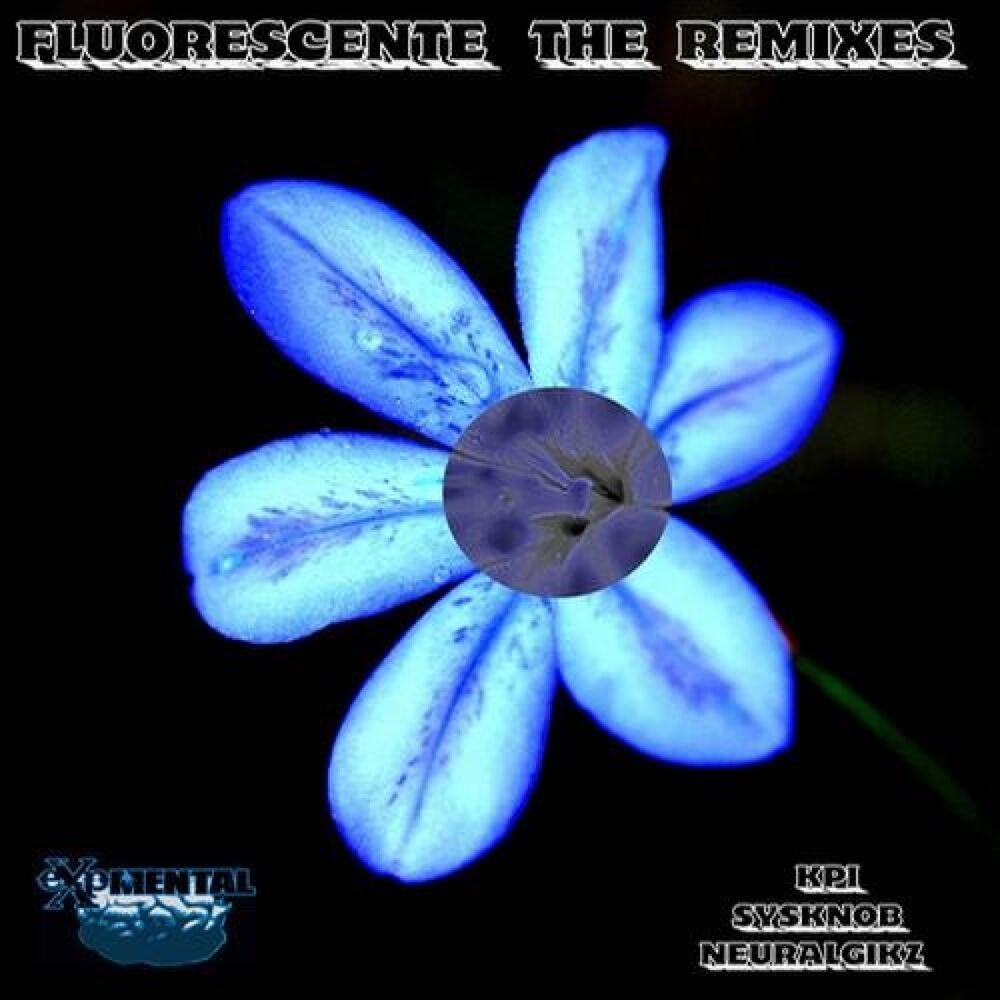 Picture of Fluorescente The Remixes