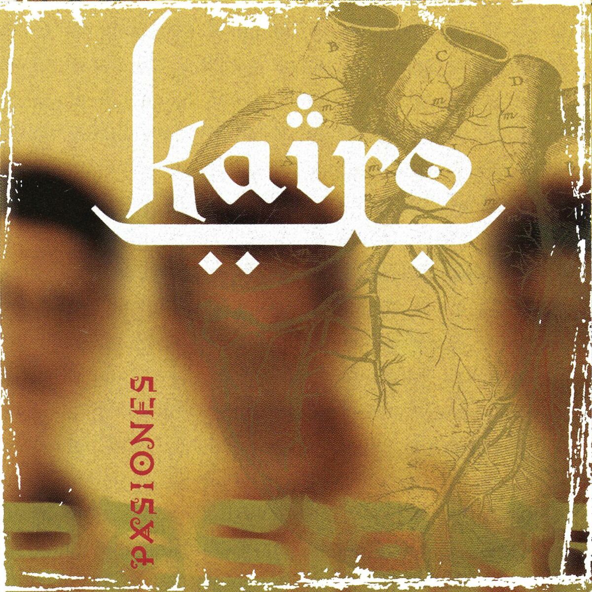 Album cover of Pasiones