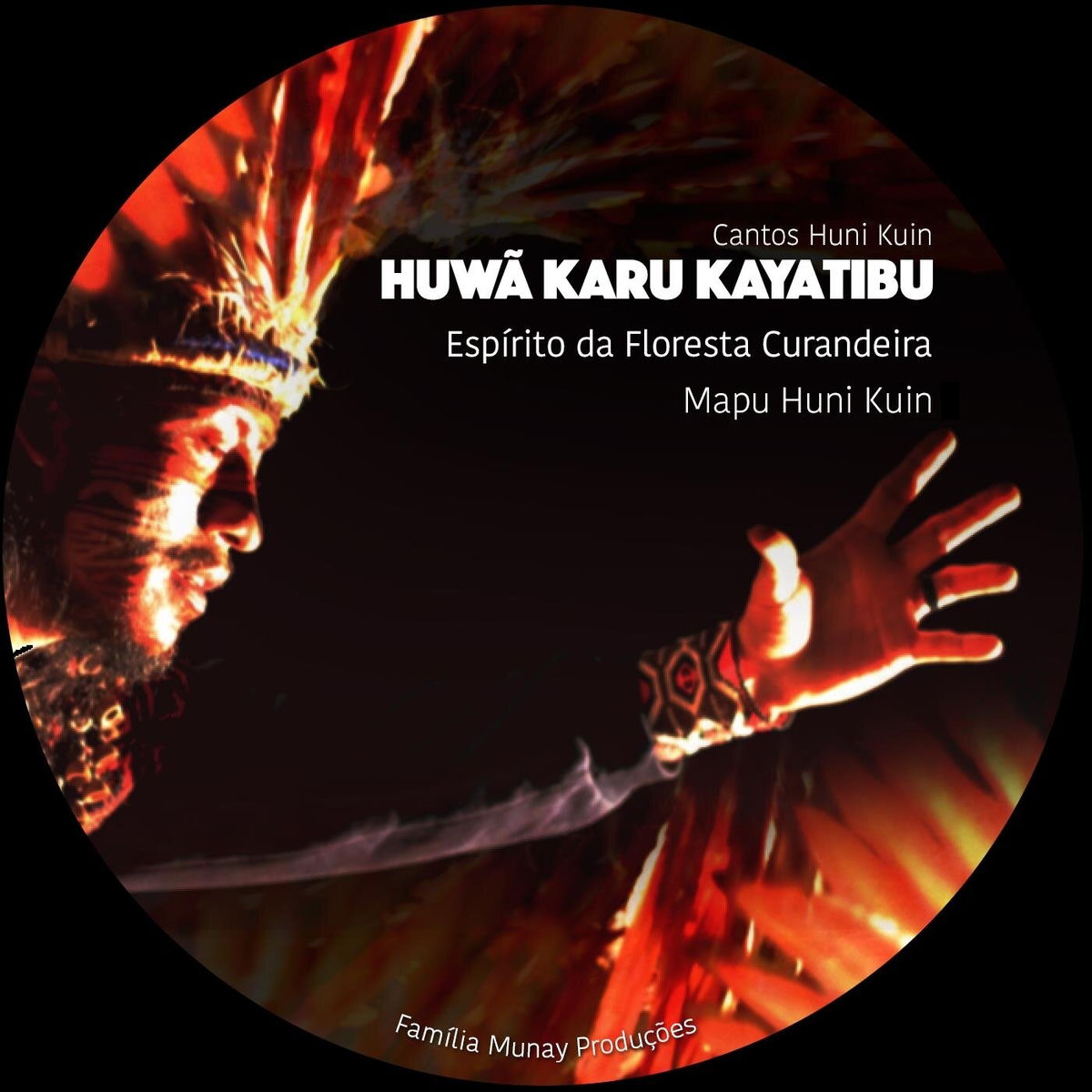 Album cover of Índio Mensageiro / Eu Venho Lá da Floresta