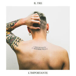 Cover of L'importante