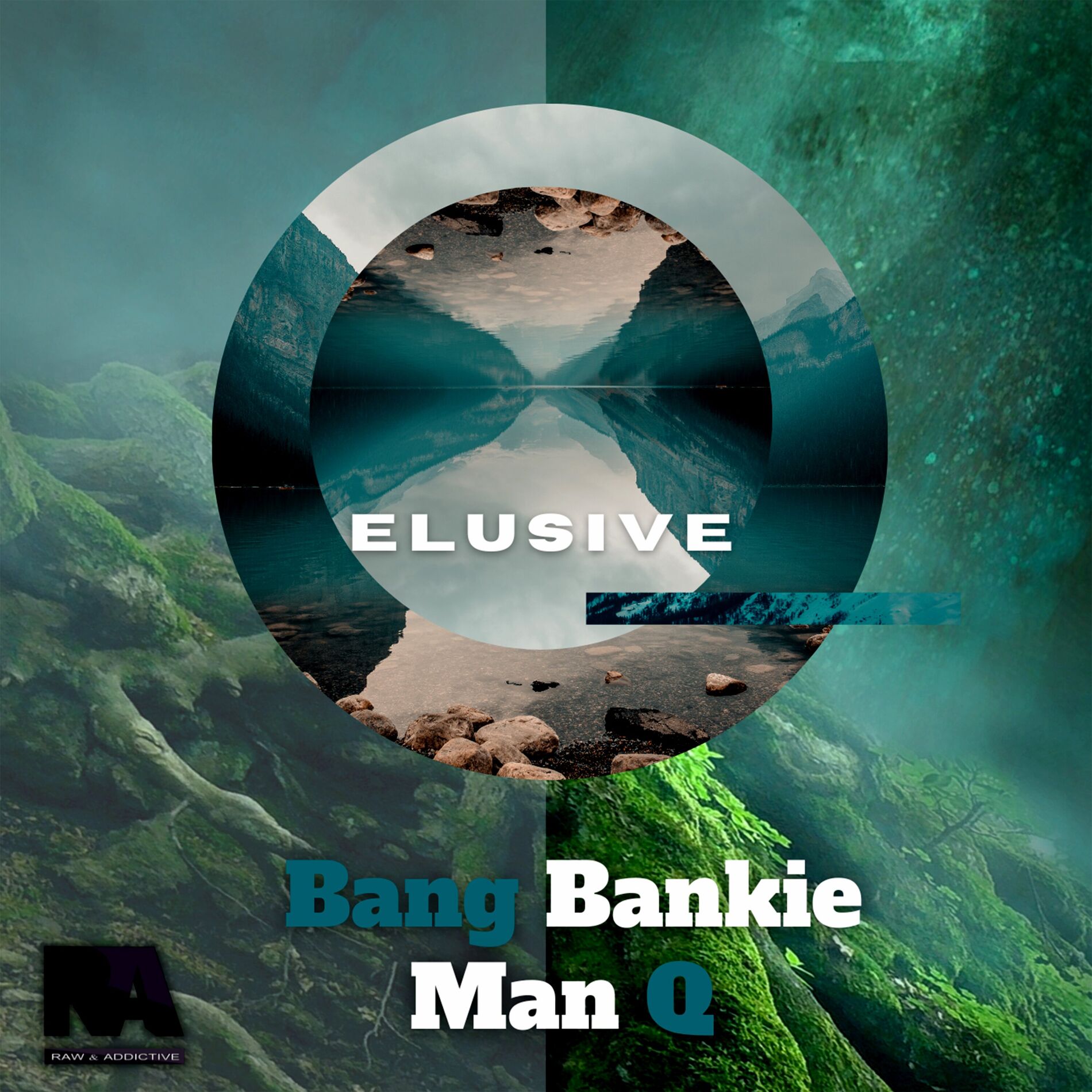 Album cover of Elusive