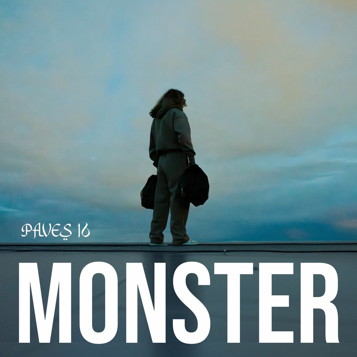 Album cover of Monster