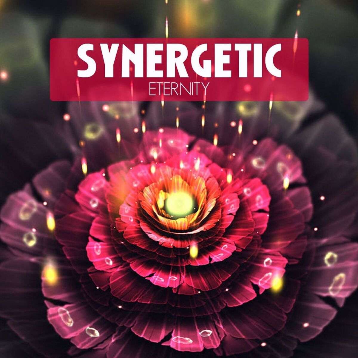 Album cover of Synergetic Eternity