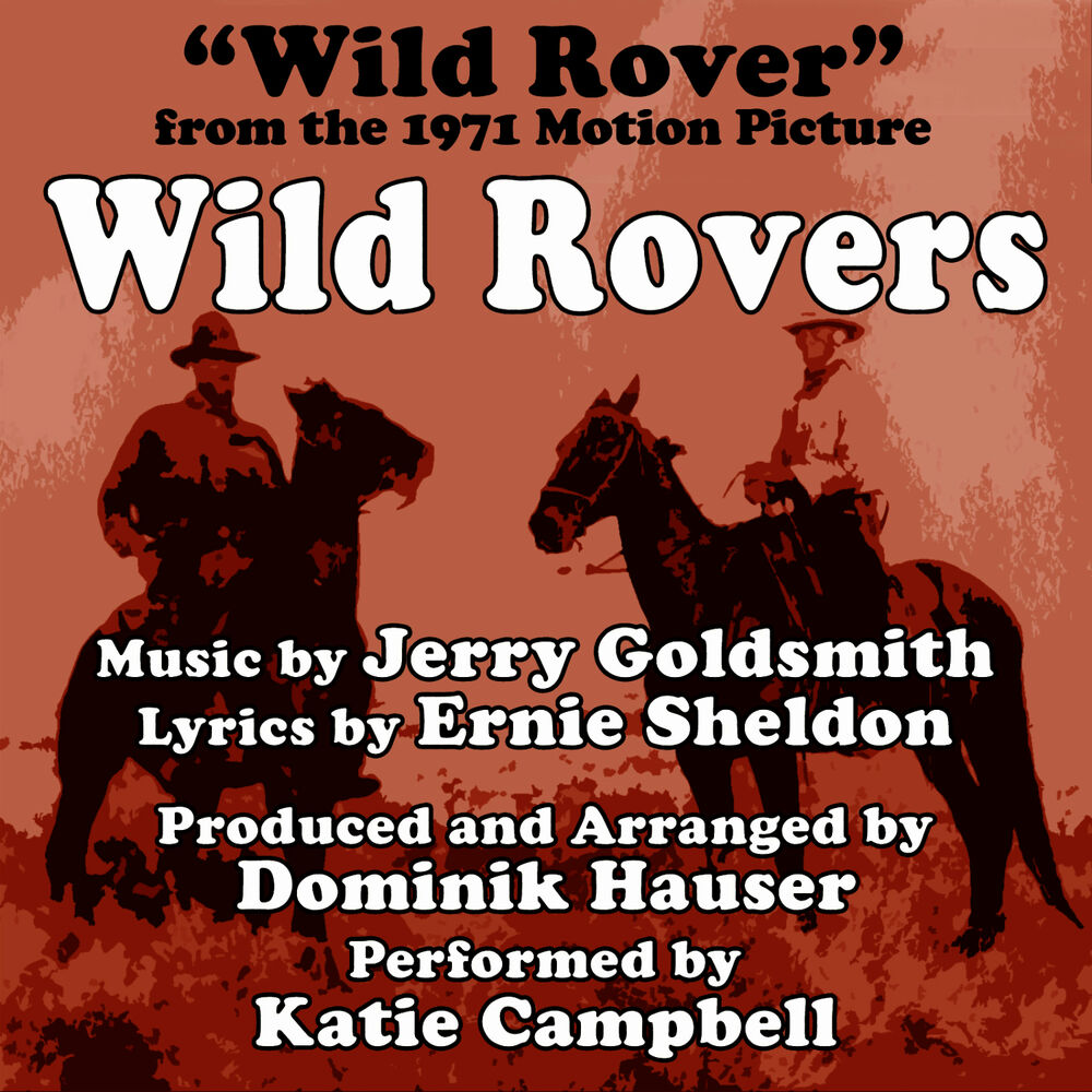 Picture of Wild Rovers (Theme From the 1971 Motion Picture)