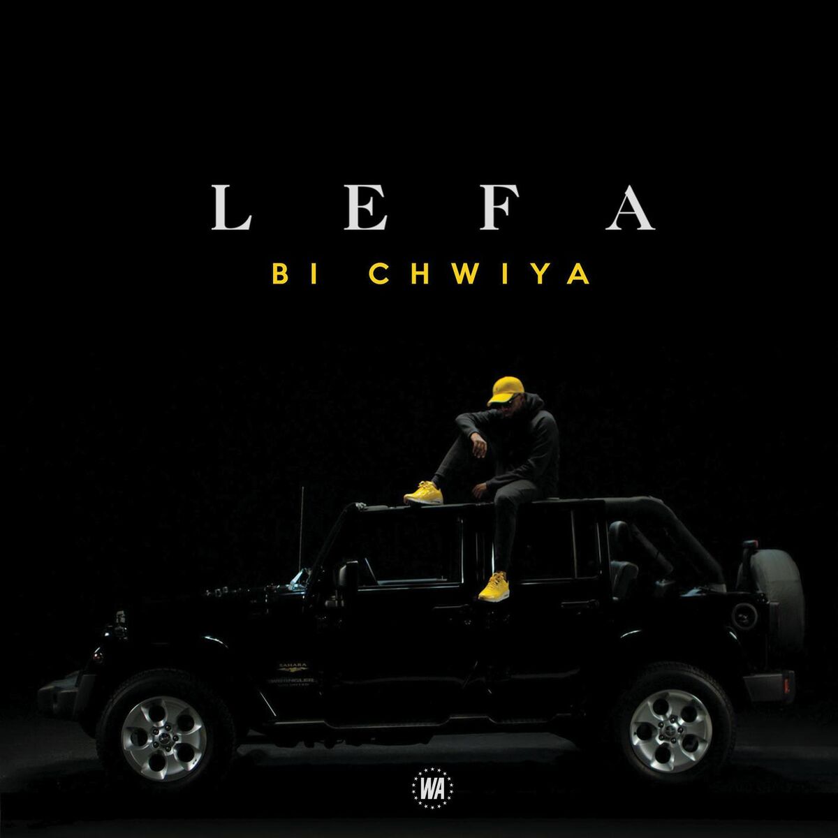 Album cover of Bi Chwiya