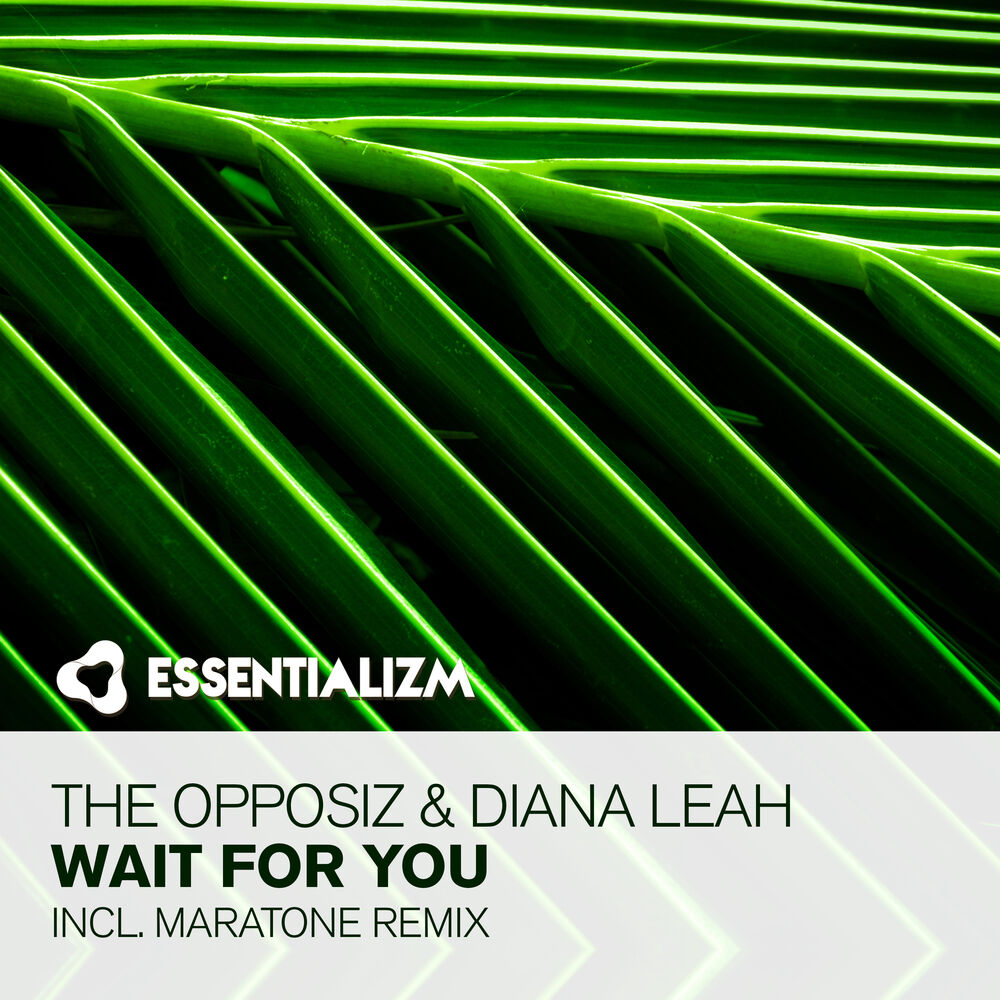 Picture of Wait For You