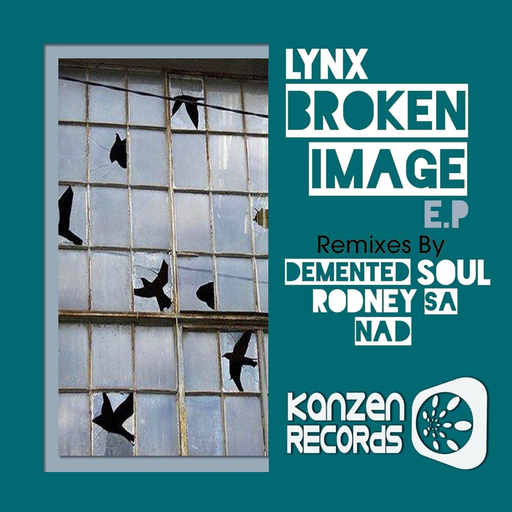 Picture of Broken Image