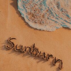Cover of Sunburn