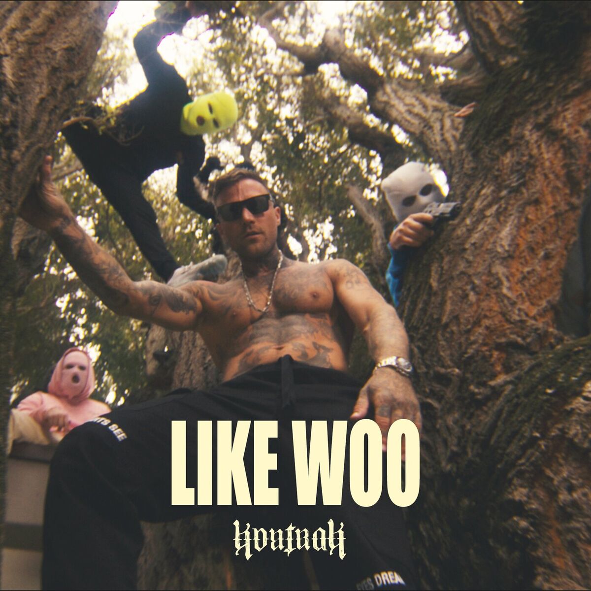 Album cover of Like Woo