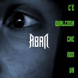 Cover of C'è qualcosa che non va