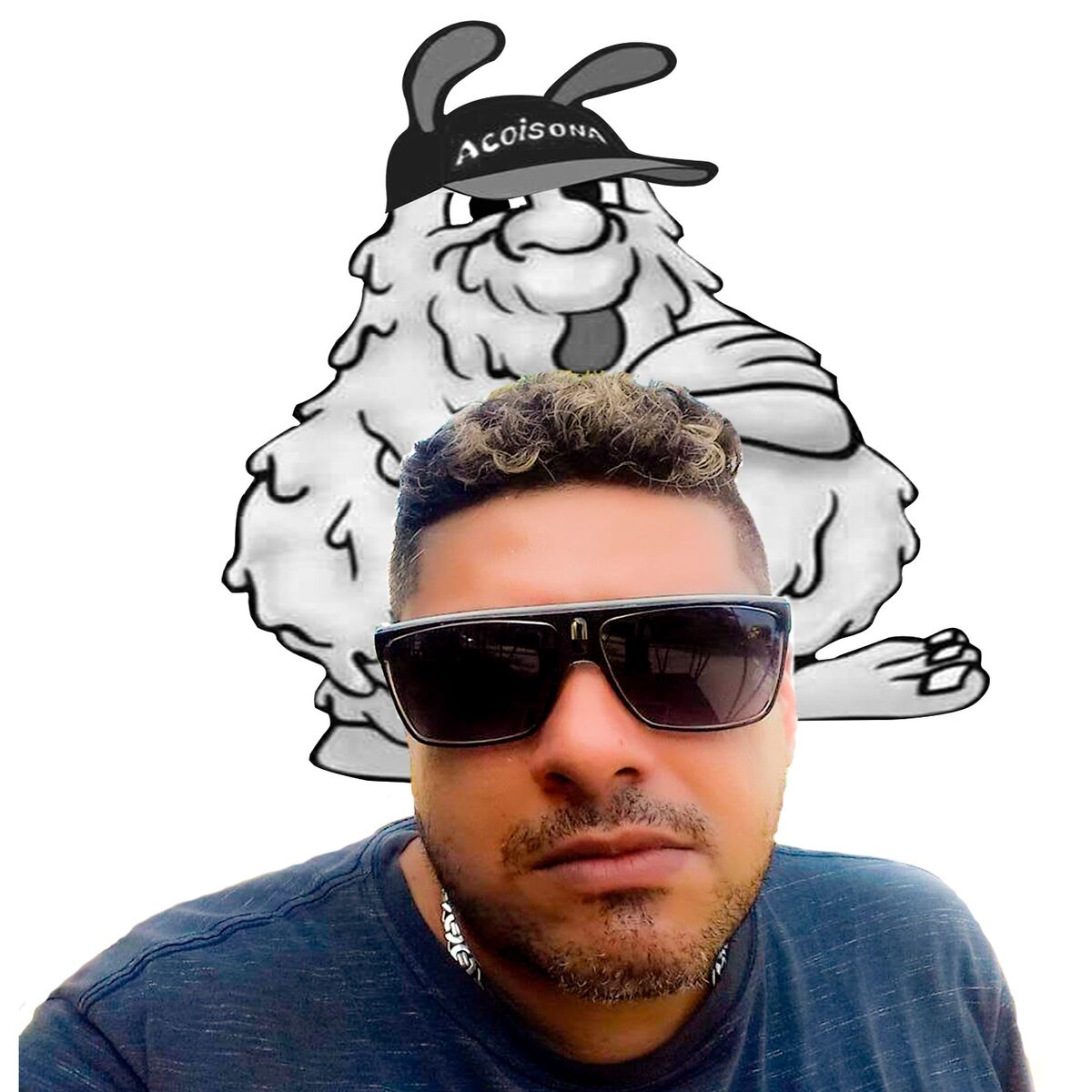 Album cover of Montagem: Barra e Recreio Toca a Bonanza