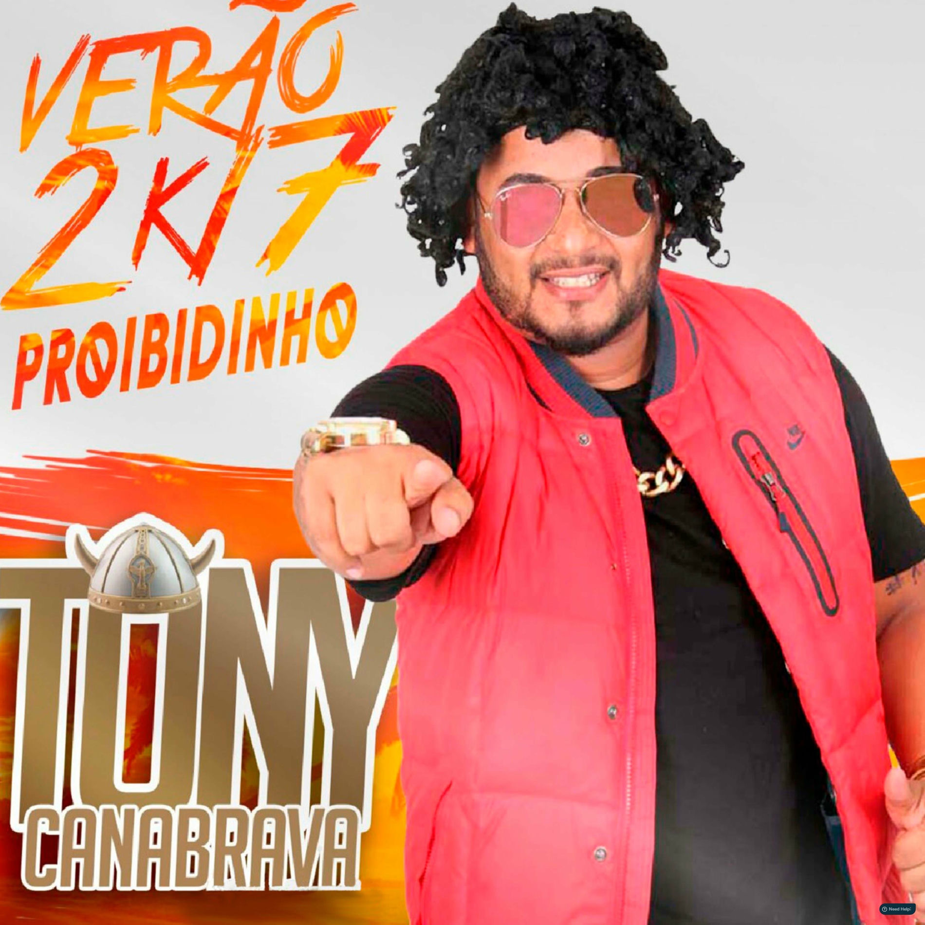 Album cover of Verão 2K17 Proibidinho