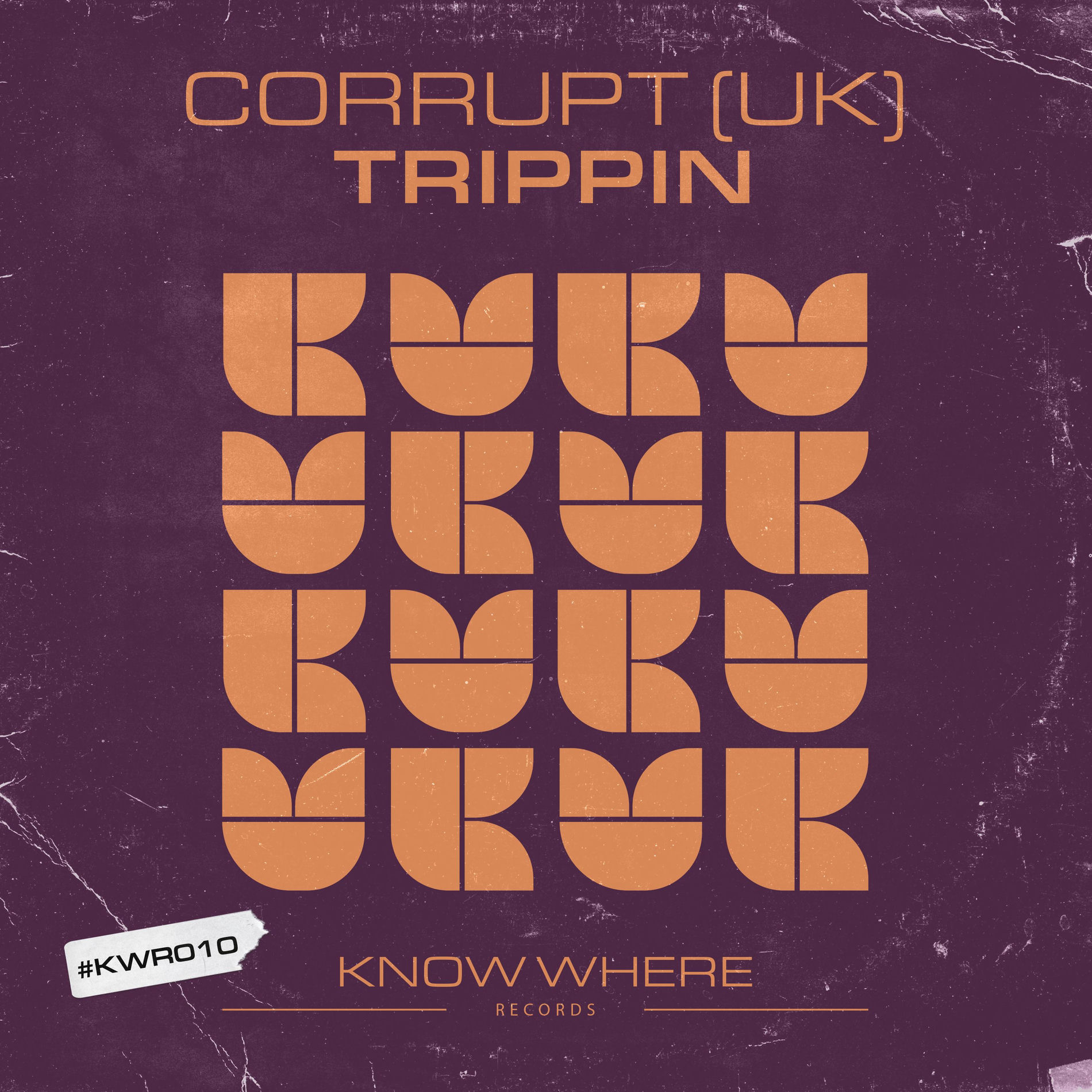 Album cover of Trippin